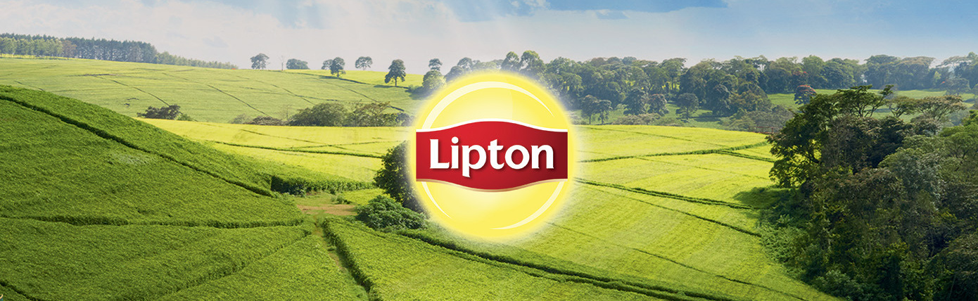 Description of the image