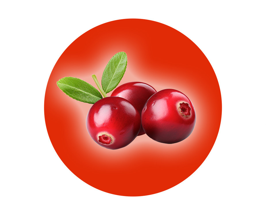 Description of the image