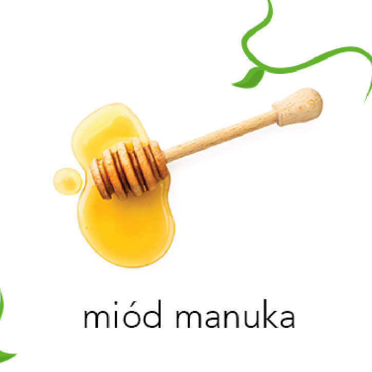 Description of the image