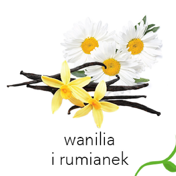 Description of the image