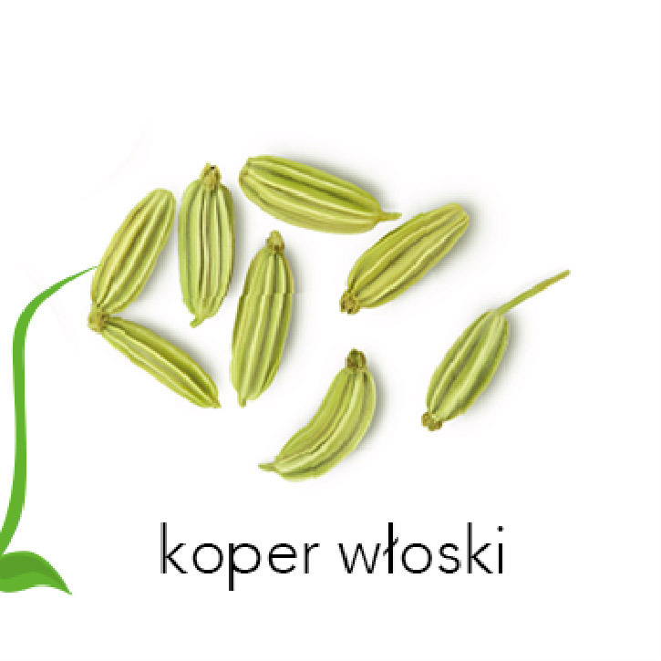 Description of the image