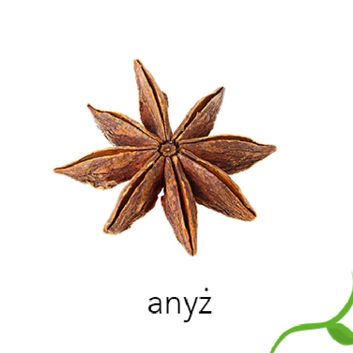 Description of the image