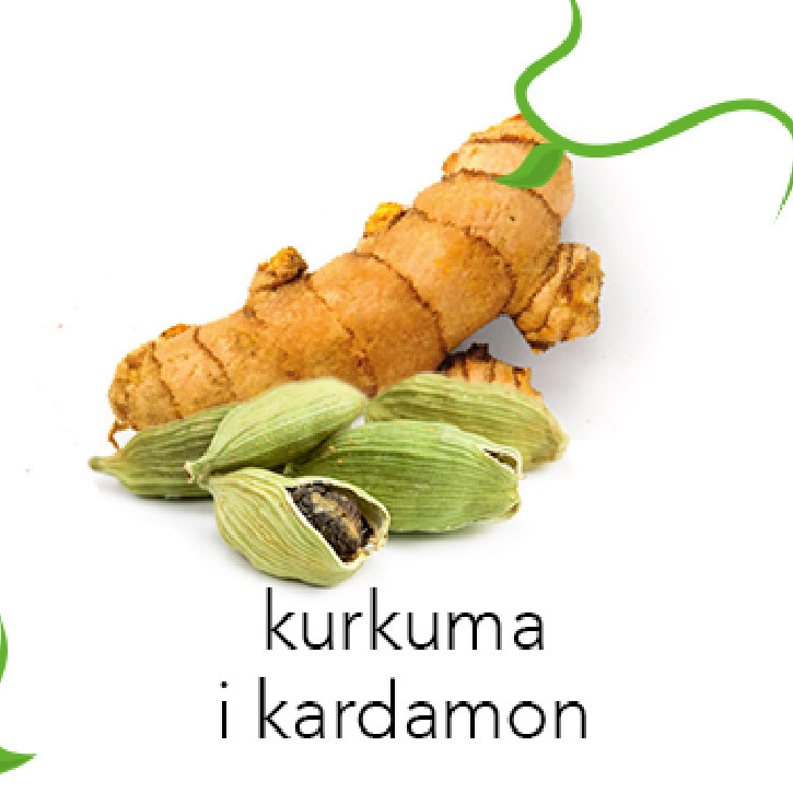 Description of the image