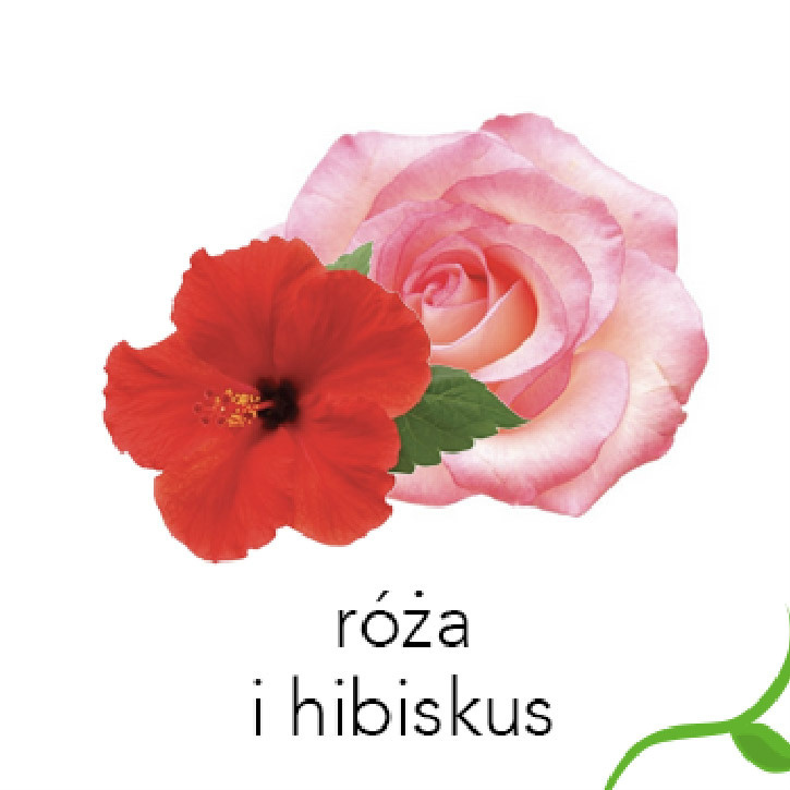 Description of the image