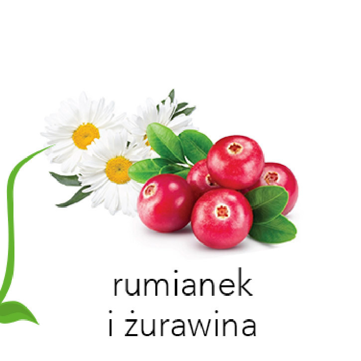 Description of the image