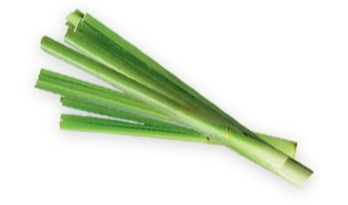 Description of the image