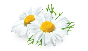 Description of the image