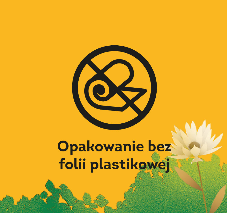 Description of the image