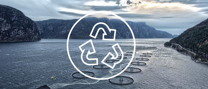 Description of the image