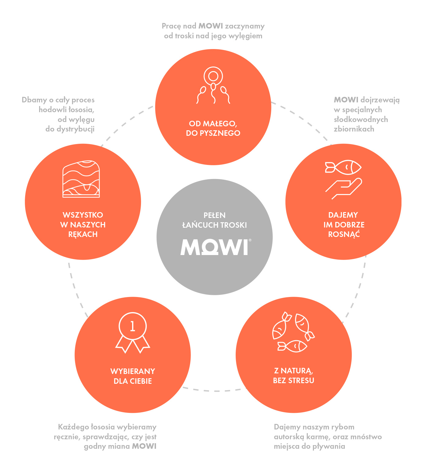 Description of the image