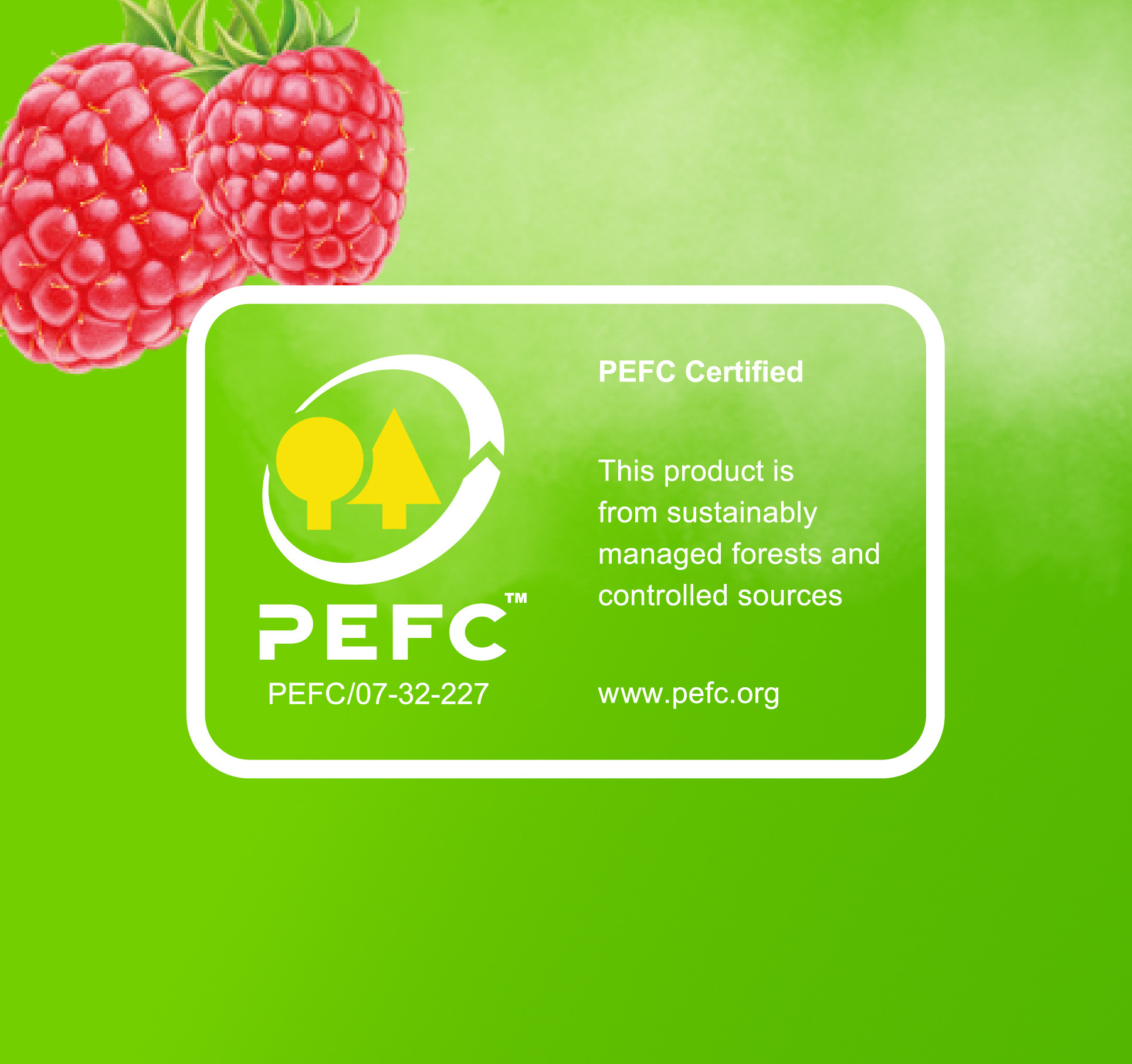 Description of the image