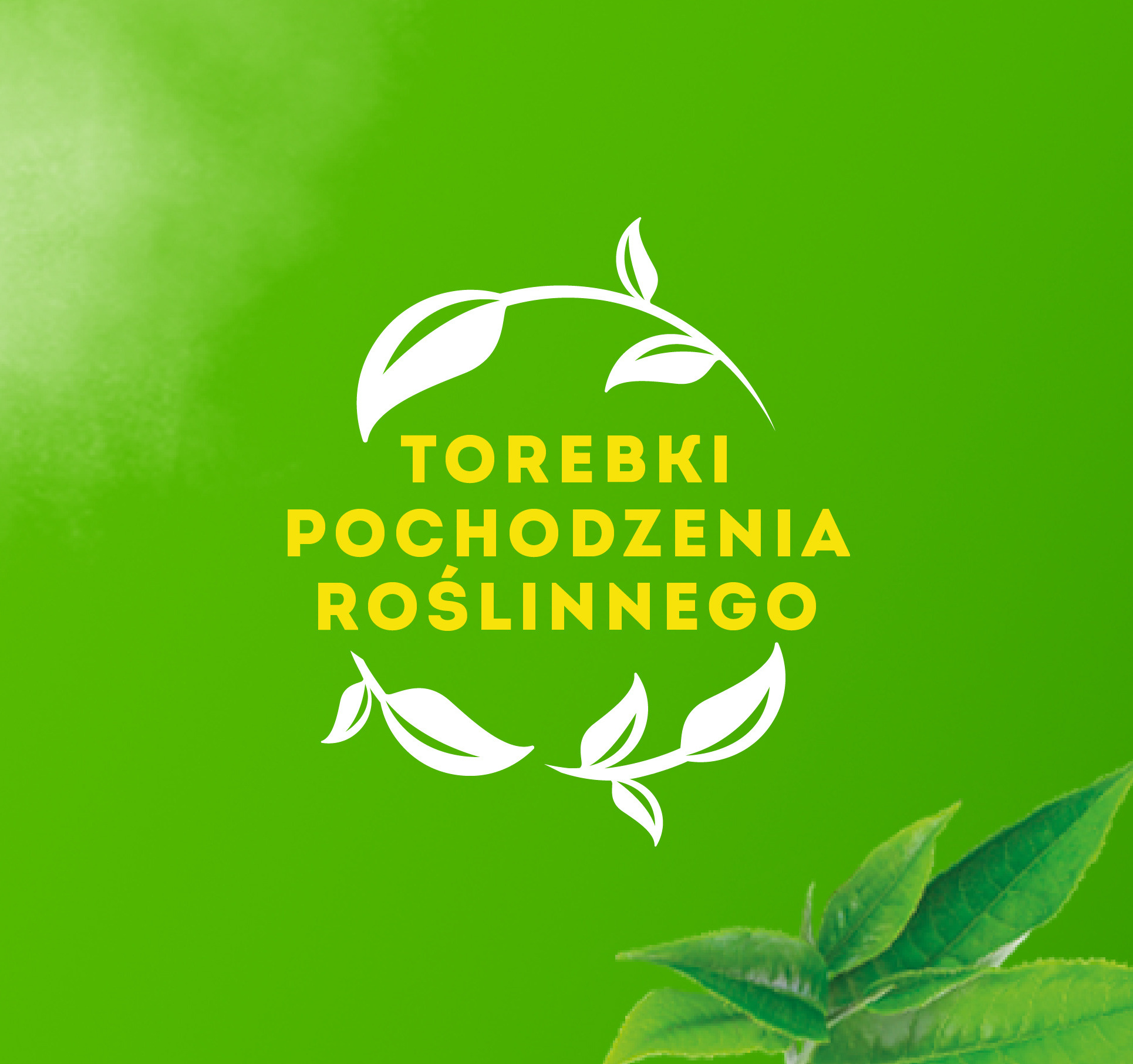 Description of the image