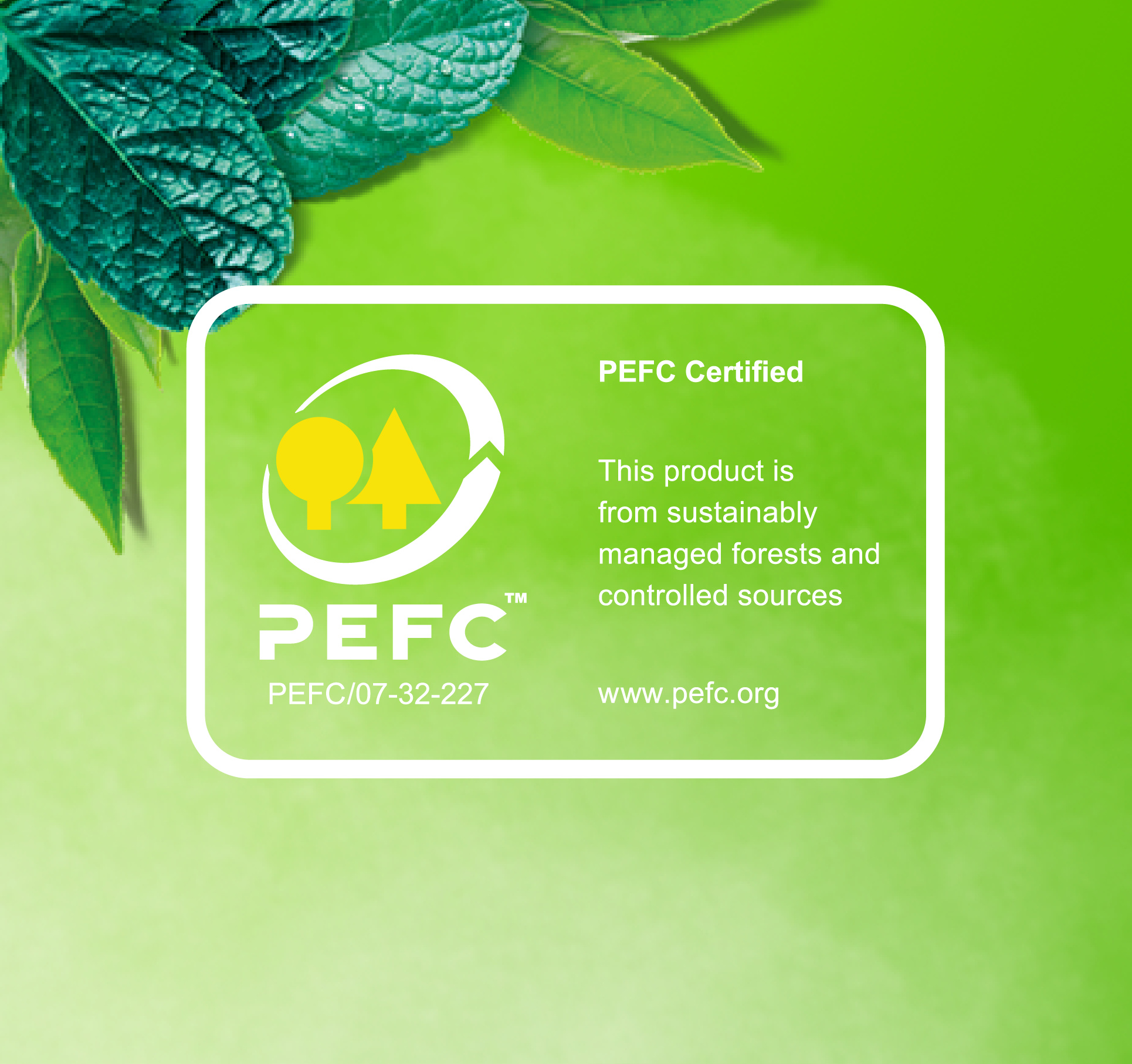 Description of the image