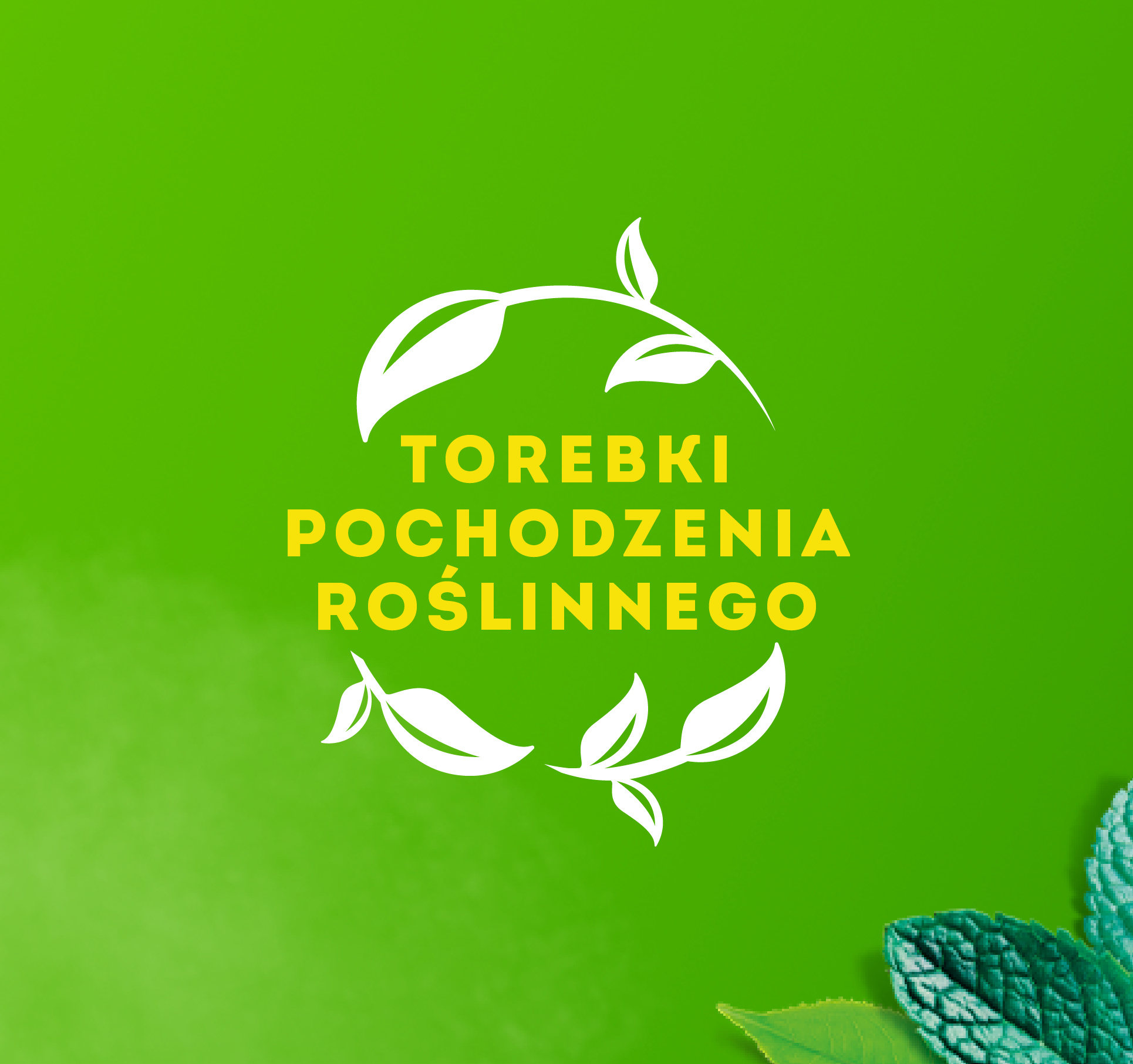 Description of the image