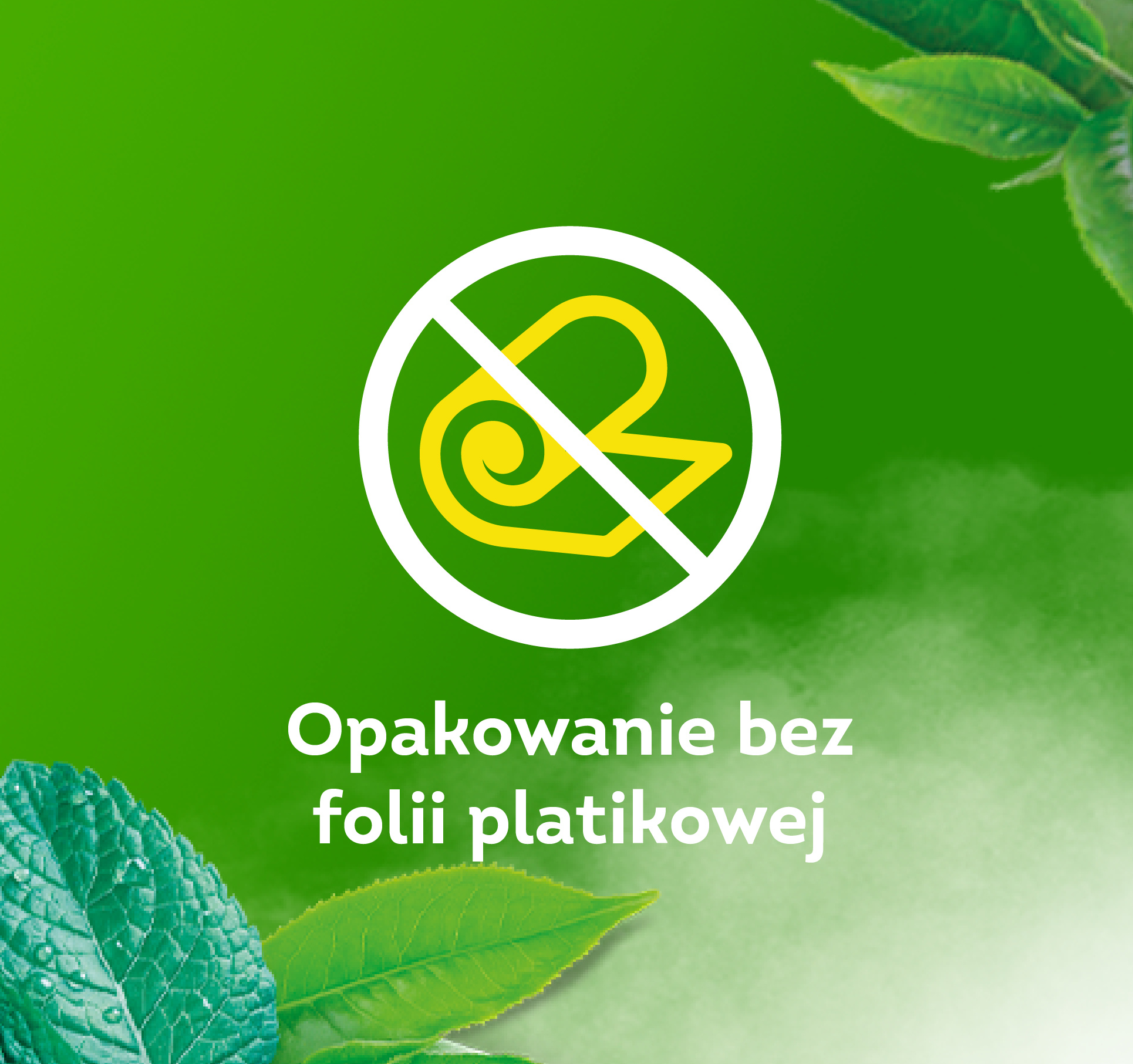 Description of the image