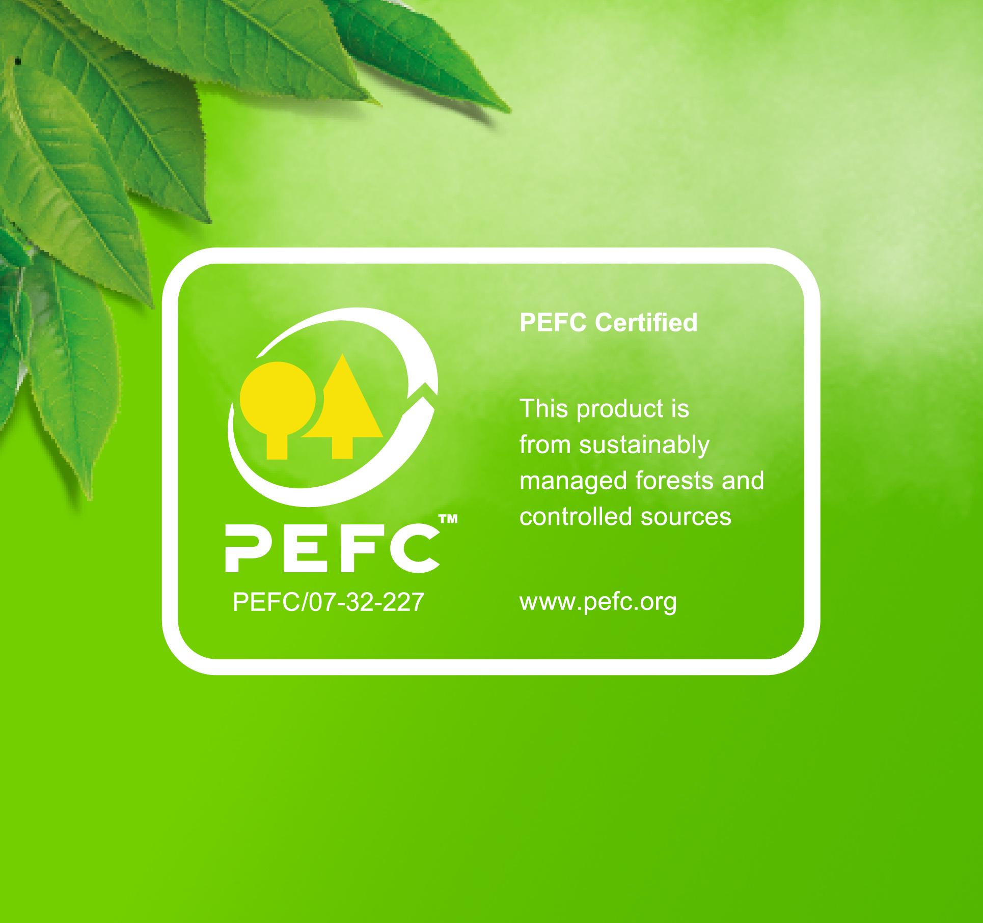 Description of the image