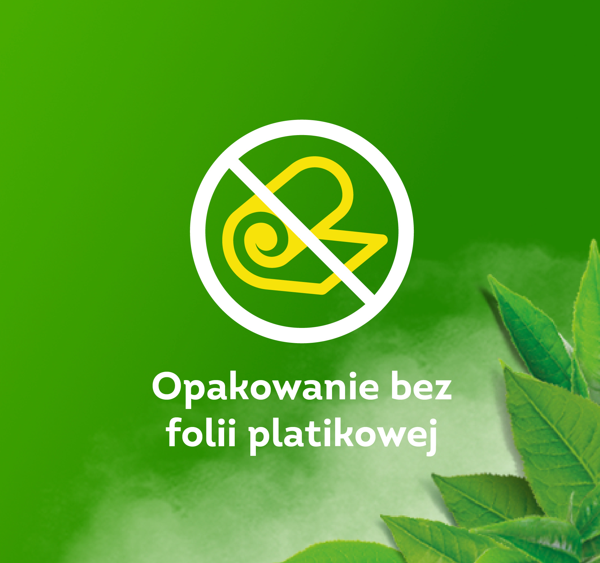 Description of the image