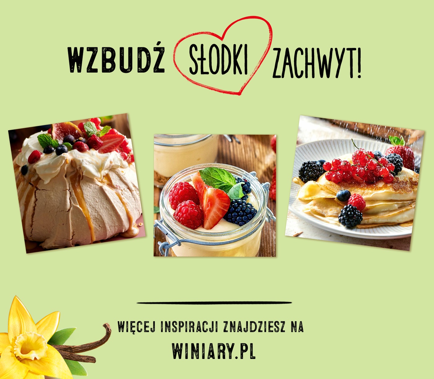 Description of the image