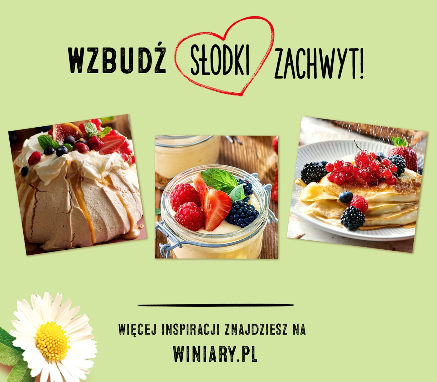 Description of the image