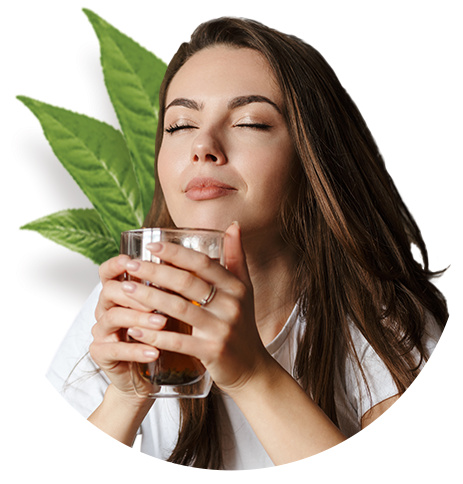 Description of the image