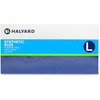 Halyard Synthetic Plus PF Vinyl Exam Gloves - Polymer Coating - Large Size - For Right/Left Hand - Clear - Latex-free, Non-sterile - 100 / Box - 9.50"