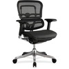Eurotech Ergo Elite Executive Chair - Black Leather Seat - Black Back - Black Frame - 5-star Base - 1 Each