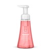 Method Foaming Hand Soap - Pink Grapefruit ScentFor - 10 fl oz (295.7 mL) - Pump Bottle Dispenser - Hand - Light Pink - Pleasant Scent, Paraben-free, 