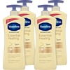 Vaseline Intensive Care Lotion - Lotion - 20.30 fl oz - For Dry Skin - Applicable on Body - Moisturising, Absorbs Quickly, Non-greasy - 4 / Carton