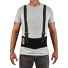 Ergodyne ProFlex 1600 Standard Back Support Brace - 52" - 58" Waist Size - Black - Elastic, Polypropylene, Rubber - 1 Each