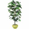 nudell 6ft Artificial Green Ficus Tree - 72" Tall - Ficus1 Each