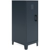 NuSparc Personal Locker - 3 Shelve(s) - for Office, Home, Sport Equipments, Toy, Game, Classroom, Playroom, Basement, Garage - Overall Size 42.5" x 14