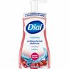 Dial Dial Complete Power Berries Foam Soap - Power Berries ScentFor - 10 fl oz (295.7 mL) - Pump Bottle Dispenser - Bacteria Remover - Hand, Skin - An