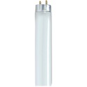 Satco 32-watt 48" T8 Fluorescent Bulbs - 32 W - 120 V AC - 3050 lm - T8 Size - Cool White Light Color - 24000 Hour - 6920.3F (3826.8C) Color Temperature - 85 CRI - 6 / Carton