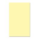 EarthChoice Colors Multipurpose Paper - Canary