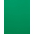 Domtar HOTS 81373 Inkjet, Laser Copy & Multipurpose Paper - Green
