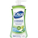 Dial Complete Foam Soap