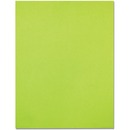 Domtar EarthChoice Colored Paper - Emerald Green