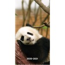 Blueline Academic Monthly Pocket Planner Animals 2020-2021 - Panda
