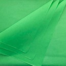 DBLG Import Green Tissue Paper