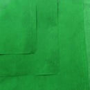 DBLG Import Hunter Green Tissue Paper