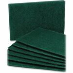 SKILCRAFT&reg; Scouring Pads - 0.2" Height x 6" Width x 9.5" Depth - 10 / Pack - Nylon - Green NSN7535242