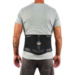 Ergodyne ProFlex 1051 Mesh Back Support with Lumbar Pad - Black - Mesh Fabric - 1 Each EGO20183