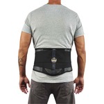 Ergodyne ProFlex 1051 Mesh Back Support with Lumbar Pad - Black - Mesh Fabric - 1 Each EGO20186