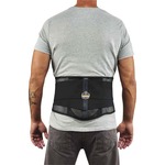 Ergodyne ProFlex 1051 Mesh Back Support with Lumbar Pad - Black - Mesh Fabric - 1 Each EGO20187