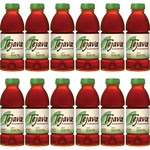 Tejava Mint Black Tea Bottle - Black Tea - GMO Free - 102 / Pallet CWG40133PL
