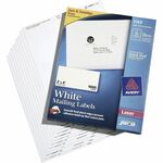 SKILCRAFT&reg; Self-Adhesive Labels - 2" Height x 4" Width - Rectangle - Laser - White - 1 / Box NSN3360540