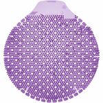 Fresh Products Tidal Wave Urinal Screens - Lasts upto 60 Days - Splash Resistant, Dual Sided Design, Odor Control - 6 / Box - Purple FRSTWDS11
