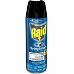 Raid Flying Insect Spray - Spray - Kills Flies, Mosquitoes, Gnats, Hornet, Moths, Fruit Fly, Wasp, Yellow Jacket, Boxelder Bug, Asian Ladybeetle - 15 fl oz - Off White - 12 / Carton SJN379008CT