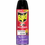 Raid Ant & Roach Killer Spray - Spray - Kills Water Bugs, Palmetto Bug, Silverfish, Carpet Beetle, Earwig, Spider, Asian Ladybeetle, Lady Beetle, Black Widow Spider, Ants, Cockroaches, ... - 17.50 fl oz - Red - 12 / Carton SJN386221CT