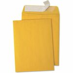 Business Source Kraft Peel-and-Stick Catalog Envelopes - Catalog - 9" Width x 12" Length - Peel & Stick - Brown - Kraft Paper - 100 / Box BSN40102